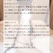 ヒメ日記 2025/06/11 13:51 投稿 ひな マリン土浦本店