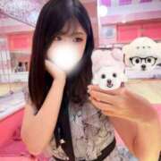 ヒメ日記 2025/12/09 21:41 投稿 ひな マリン土浦本店