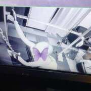 ヒメ日記 2025/06/15 14:29 投稿 せいら 白いぽっちゃりさん五反田店