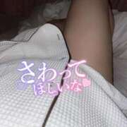 ヒメ日記 2025/08/08 23:29 投稿 せいら 白いぽっちゃりさん五反田店