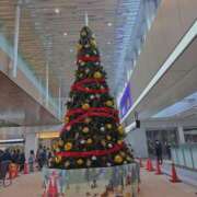 ヒメ日記 2025/11/14 11:32 投稿 鈴原恵美 五十路マダム　広島店