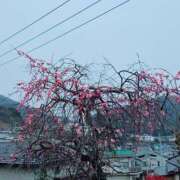 ヒメ日記 2026/02/15 11:14 投稿 鈴原恵美 五十路マダム　広島店