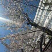 ヒメ日記 2026/04/08 20:44 投稿 鈴原恵美 五十路マダム　広島店