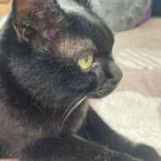 ヒメ日記 2025/09/01 11:13 投稿 はるか 快楽夫人