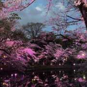 ヒメ日記 2026/04/15 14:30 投稿 りの(昭和51年生まれ) 熟年カップル名古屋～生電話からの営み～