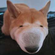 ヒメ日記 2025/05/24 15:54 投稿 畑山 熟女の風俗最終章 横浜本店