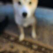 ヒメ日記 2025/06/06 10:59 投稿 畑山 熟女の風俗最終章 横浜本店