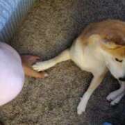 畑山 出勤してます🐈️ 熟女の風俗最終章 横浜本店