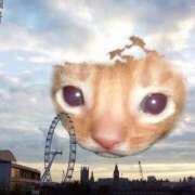 畑山 出勤しました～☺️ 熟女の風俗最終章 横浜本店