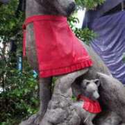 畑山 出勤ちゅうです 熟女の風俗最終章 横浜本店