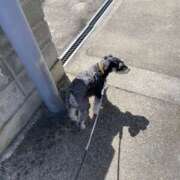 ヒメ日記 2025/06/14 06:00 投稿 るか Spanky（スパンキー）