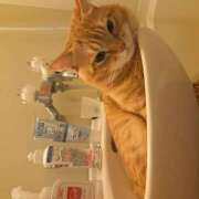 ヒメ日記 2025/07/05 08:02 投稿 三上 おふくろ