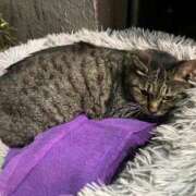 ヒメ日記 2025/06/24 10:49 投稿 なぎさ sweet kiss