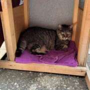 ヒメ日記 2025/06/26 10:35 投稿 なぎさ sweet kiss