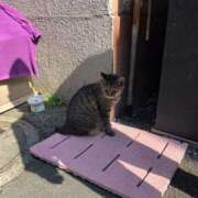 ヒメ日記 2025/08/24 12:19 投稿 なぎさ sweet kiss