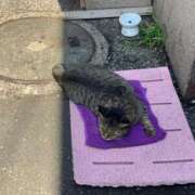 ヒメ日記 2025/10/02 09:39 投稿 なぎさ sweet kiss