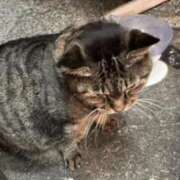 ヒメ日記 2025/12/05 11:09 投稿 なぎさ sweet kiss