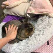 なぎさ 🙇‍♀️ sweet kiss