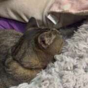 なぎさ アカウント凍結 sweet kiss