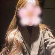 ヒメ日記 2025/11/30 12:42 投稿 はるな★S級美女！美の最高峰★ Bell～S級美女お姉様・人妻デリヘル～