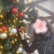 ヒメ日記 2025/12/24 12:00 投稿 はるな★S級美女！美の最高峰★ Bell～S級美女お姉様・人妻デリヘル～