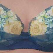 ヒメ日記 2025/12/24 22:49 投稿 片山　りんこ ギン妻パラダイス 谷九店