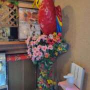 ヒメ日記 2026/08/08 22:35 投稿 片山　りんこ ギン妻パラダイス 谷九店