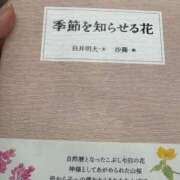 ヒメ日記 2025/06/14 15:54 投稿 せりな 熟女デリヘル倶楽部