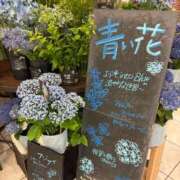 ヒメ日記 2025/06/22 10:57 投稿 せりな 熟女デリヘル倶楽部