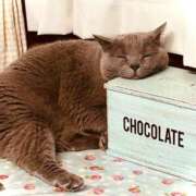 ヒメ日記 2025/06/27 00:52 投稿 せりな 熟女デリヘル倶楽部