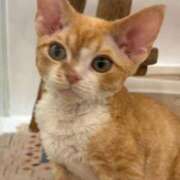 ヒメ日記 2025/07/04 08:07 投稿 せりな 熟女デリヘル倶楽部