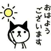 ヒメ日記 2025/07/23 16:49 投稿 せりな 熟女デリヘル倶楽部
