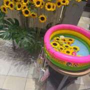 ヒメ日記 2025/09/01 12:56 投稿 せりな 熟女デリヘル倶楽部