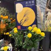 ヒメ日記 2025/10/06 09:00 投稿 せりな 熟女デリヘル倶楽部