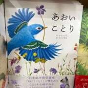 ヒメ日記 2025/10/12 08:22 投稿 せりな 熟女デリヘル倶楽部