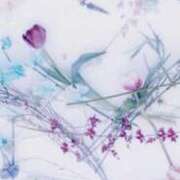 ヒメ日記 2025/11/08 08:47 投稿 せりな 熟女デリヘル倶楽部