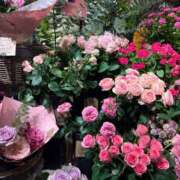 ヒメ日記 2025/11/21 07:47 投稿 せりな 熟女デリヘル倶楽部