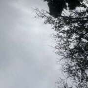 ヒメ日記 2025/11/24 09:37 投稿 せりな 熟女デリヘル倶楽部