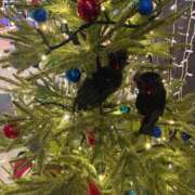 ヒメ日記 2025/11/27 08:55 投稿 せりな 熟女デリヘル倶楽部