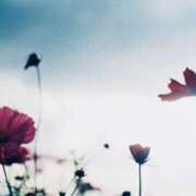 ヒメ日記 2025/12/10 08:16 投稿 せりな 熟女デリヘル倶楽部