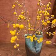 ヒメ日記 2026/01/10 09:15 投稿 せりな 熟女デリヘル倶楽部