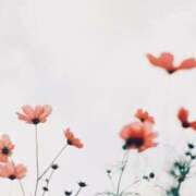 ヒメ日記 2026/03/15 09:37 投稿 せりな 熟女デリヘル倶楽部