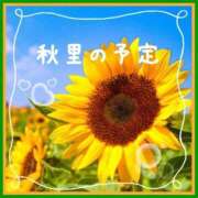 ヒメ日記 2025/08/02 12:15 投稿 秋里 熟女の風俗最終章 新横浜店