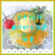 ヒメ日記 2025/08/16 21:06 投稿 秋里 熟女の風俗最終章 新横浜店