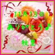 ヒメ日記 2025/11/13 22:46 投稿 秋里 熟女の風俗最終章 新横浜店