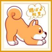 ヒメ日記 2026/01/20 15:16 投稿 秋里 熟女の風俗最終章 新横浜店