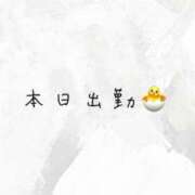 ヒメ日記 2025/05/31 12:12 投稿 せいな CECIL