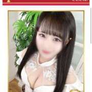 ヒメ日記 2025/07/07 19:24 投稿 せいな CECIL