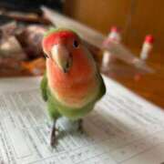 ヒメ日記 2025/09/25 10:36 投稿 せいな CECIL