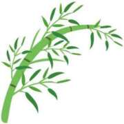 ヒメ日記 2025/09/26 12:26 投稿 せいな CECIL